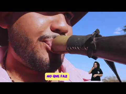 Berrante e berranteiros do cerrado - Mestre do saber tocar - João Pinheiro MG