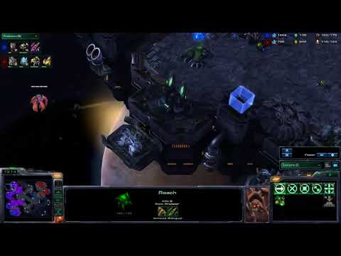 Mill.Stephano v Acer.Elfi g3 [Assembly ASUS ROG Ro8]