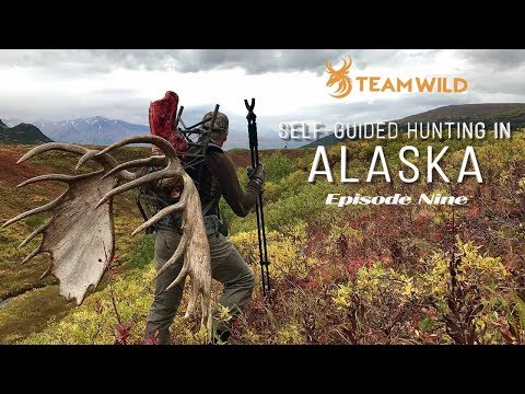 Self-guided Moose & Caribou Hunting in Alaska: Episode 9 - Epic Alaskan Moose Hunt