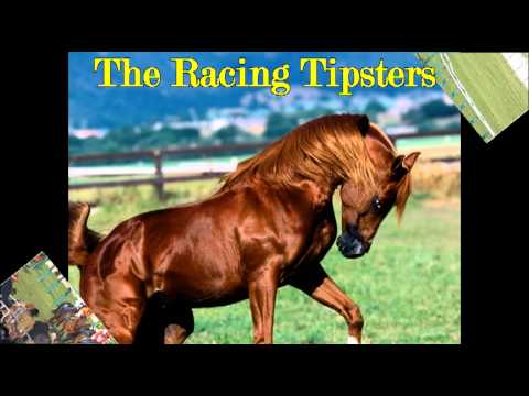 todays horse racing results