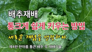 #4 배추재배의 신개념 알면 배추 키우기는 쉽다 / 한아름 통큰 배추 무 재배기술 제4편 - 배추모종 심ㄱㅣ