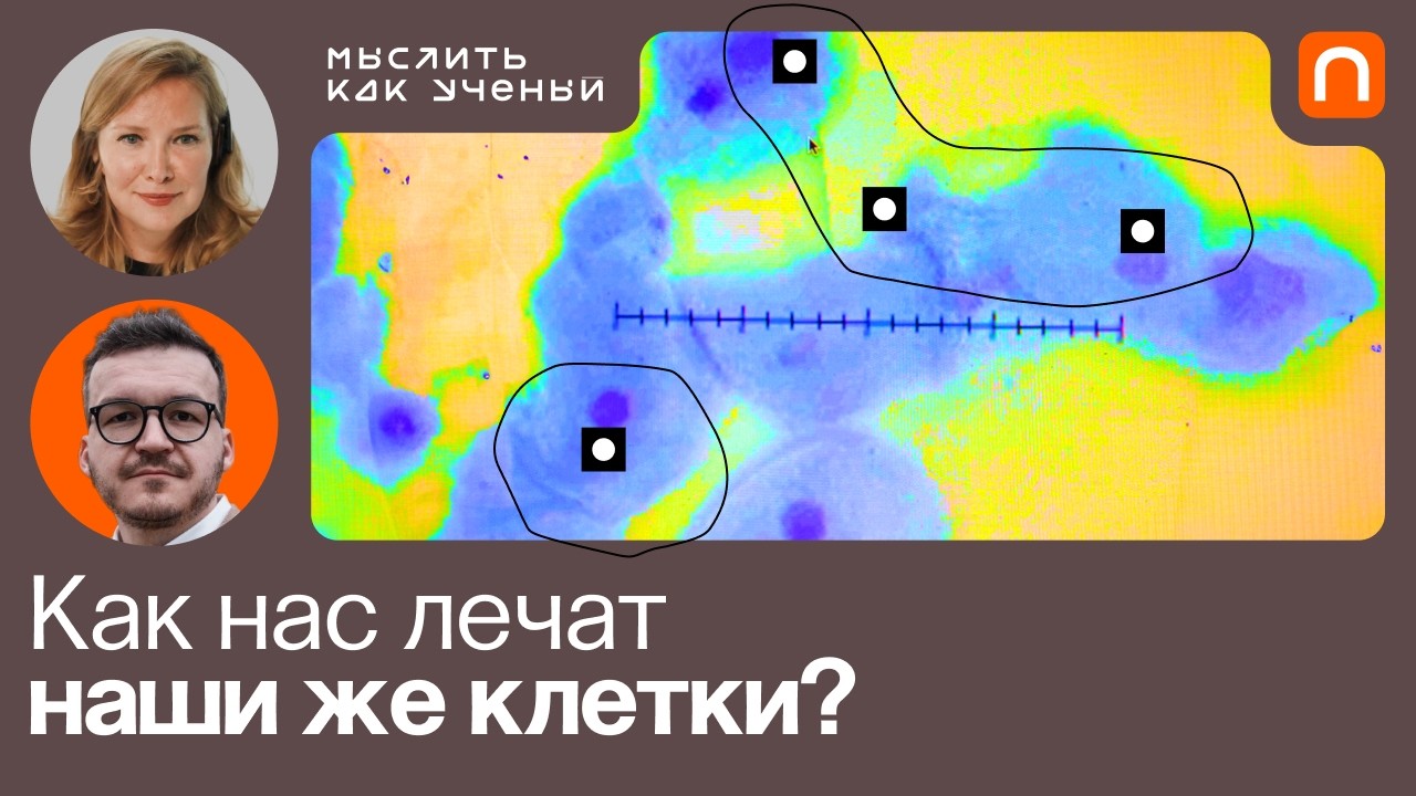 Диагностика, терапия и контроль онкозаболеваний — Ивар ft. Евгения Логачева|