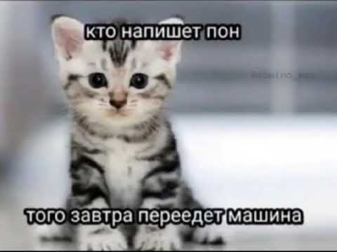 Пон