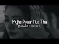 Mujhe Pyaar Hua Tha (Slowed + Reverb) - Kaifi Khalil | WoW Lofi