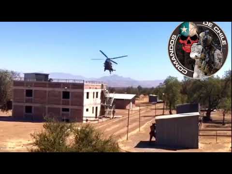 Entrenamiento de los comandos de chile