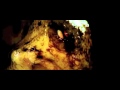 TENTACOLI - 1977 - Stelvio Cipriani by Orgasmo Sonore
