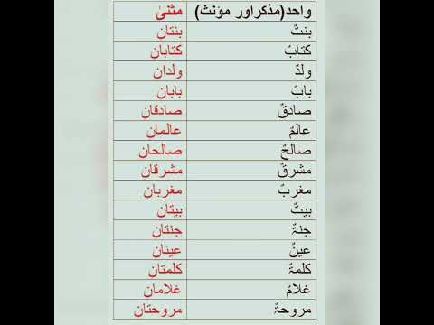 Wahid muzakkar aur mounnas ko musanna dual bana ne ka tarika #grammar#youtubeshorts #shorts #arabic