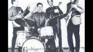 Download lagu THE GRASSHOPPERS - THE WASP mp3