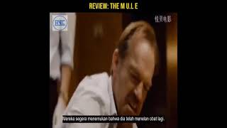 Download lagu MENYIMPAN NARKOBA DI DALAM TUBUH mp3 Download lagu MENYIMPAN NARKOBA DI DALAM TUBUH mp3