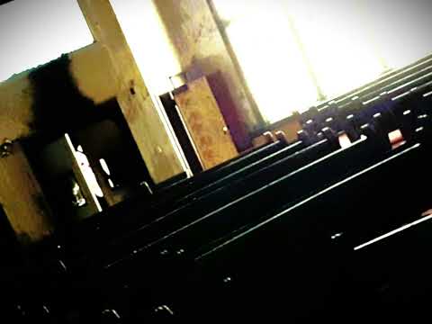 The Tsalal by Thomas Ligotti