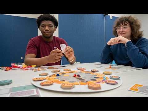 Gamifying Sustainable Systems Science
