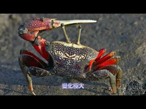 ☺ 圖片待補 ☺