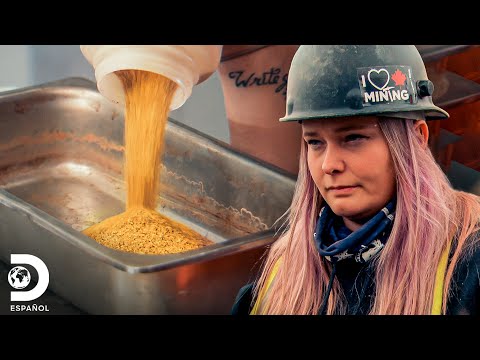 Monica's on a roll for the Beets empire | Gold Rush | Discovery in Spanish