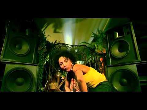 Dis L'Heure 2 Ragga feat. Taïro & Flya - Elle Veut 2007