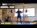 Animal Raw | Dan Green Squats