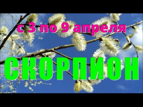 СКОРПИОН ♏️с 3 по 9 апреля.