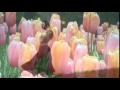ROY BUCHANAN - MY SONATA 
