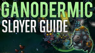 Consistent GP - Ganodermic Beast slayer guide | Runescape 3