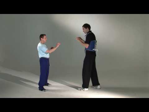 Wing Chun's Mook Yan Jong (Wooden Dummy) Applications (HD)