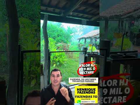 Fazenda no Tocantins 200 hectares HENRIQUE FAZENDAS CRECI 2731 (63)98411-1737 #gado #agro