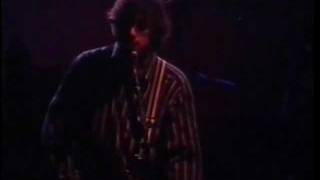 Sonic Youth - Genetic