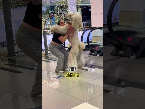 She Carries Her Dog Like A Baby!