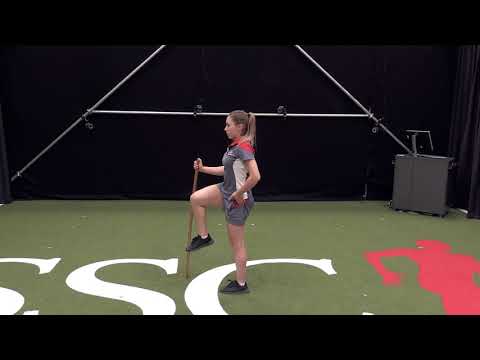 SSC Sports Medicine Groin Lab - Lateral Hip Control Series