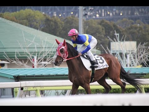 ＜第66回　阪神ＪＦ＞◇14日◇阪神競馬場◇芝1600メートル