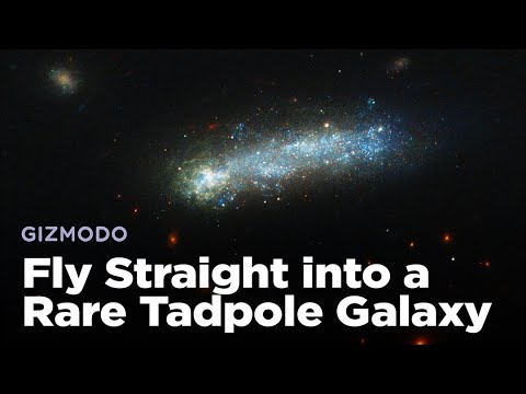 Fly Straight Into One of the Rarest Galaxies Hubble Has Ever Spotted