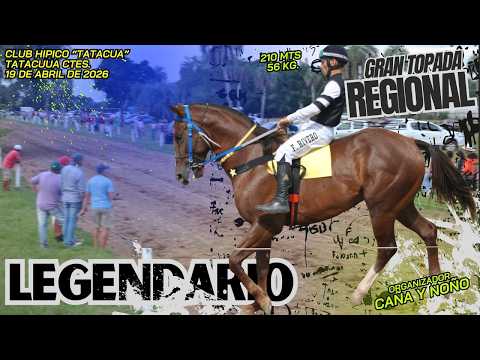 LEGENDARIO...Gran Topada Regional - Hipico Tatacua 19/04/2026 -