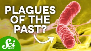 6 Mysterious Ancient Outbreaks