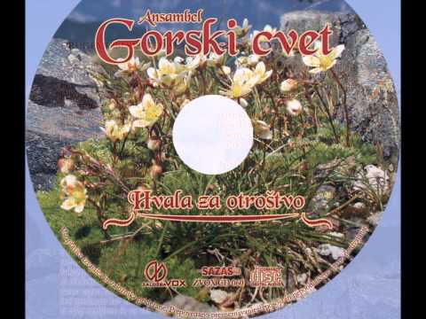 Ansambel Gorski cvet - Ko po toči se zvoni
