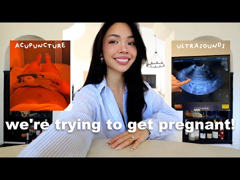 life update: we're trying to get PREGNANT!
