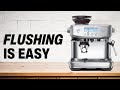 How To Flush The Breville Barista Pro