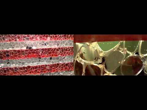 Viewpoint of Billions - DA4EV