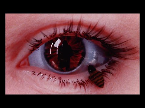 Cochise - FAKE LOVE ft. Veeze (Official Visualizer)