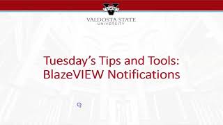 BlazeVIEW Notifications