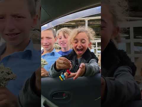 😂🤍🤍 გოდერძის უღელტეხილზე ასეთი უსაყვარლესი ბავშვები არიან სულ 🤍 #გამომყევიაჭარაში