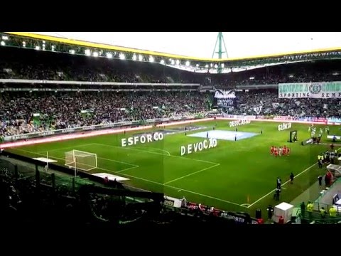 'O Mundo Sabe Que' - Relato Antena 1