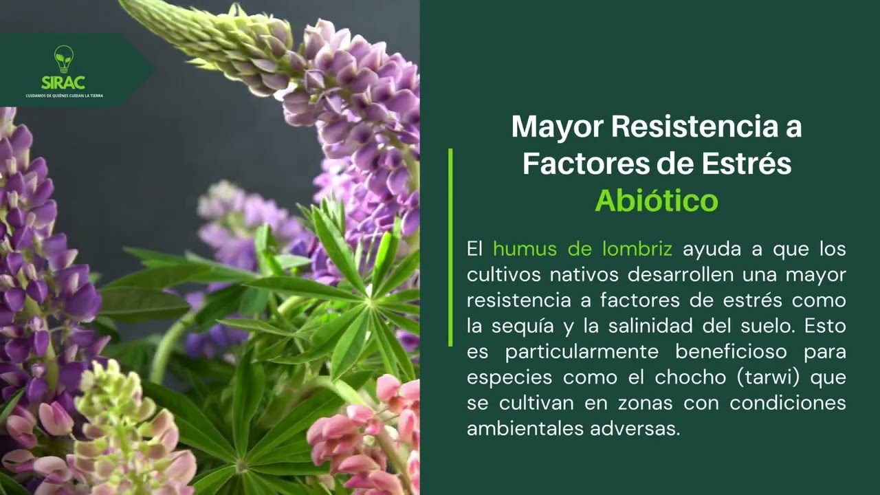 Uso del humus de lombriz - Cultivos Nativos