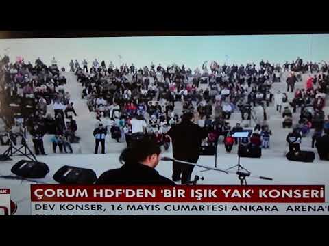 BİR IŞIKTA SEN YAK KONSERİ