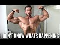 GROWING WHILE GETTING SHREDDED | DEFYING THE LAWS OF PHYSICS…