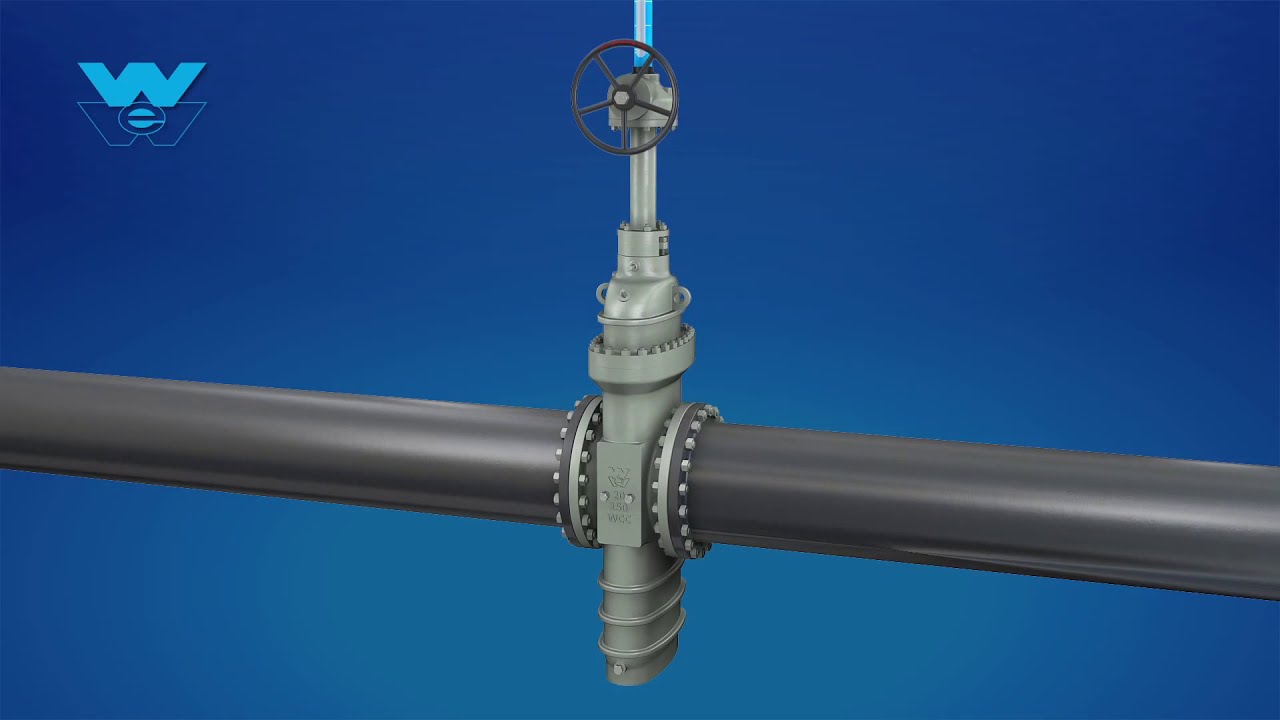 Williams API 6D Slab Gate Valve