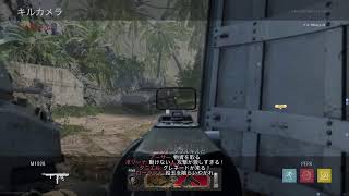 Call of Duty　β版