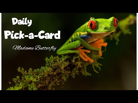 🎴🔮🌈🧁👻🎃Daily Pick-a-Card Reading~ Thursday 13th October 2022 (Timeless)