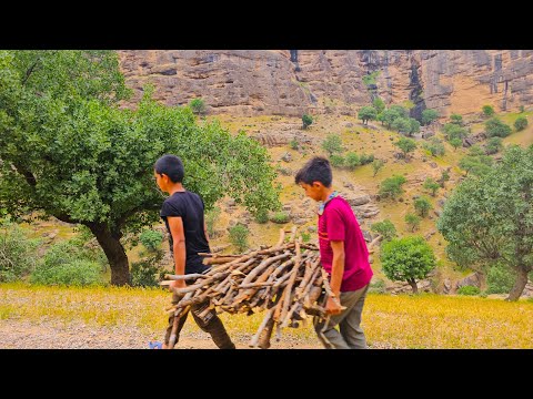 Life of the Karoon Family: A Nomadic Firewood Collection Journey