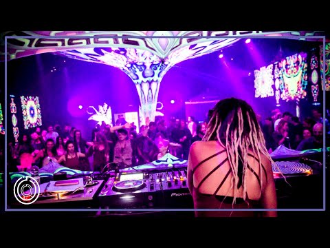 Quant’om & friends - Pavane 🇧🇪