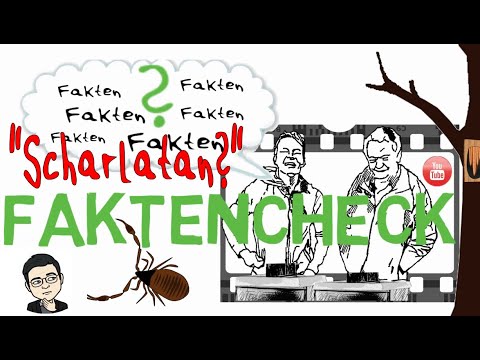 Faktencheck Aumeier-Liebig - "Die Scharlatane mit den wilden Honigbienen"