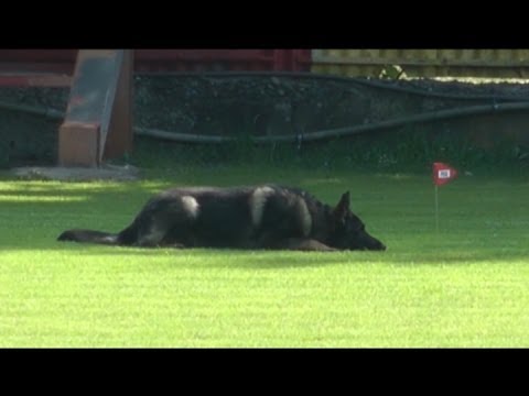 IPO1 Zilina 2014 - Urri z Kurimskeho haje - B:94