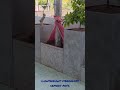 Unique modern lightweight cement planter #Shorts